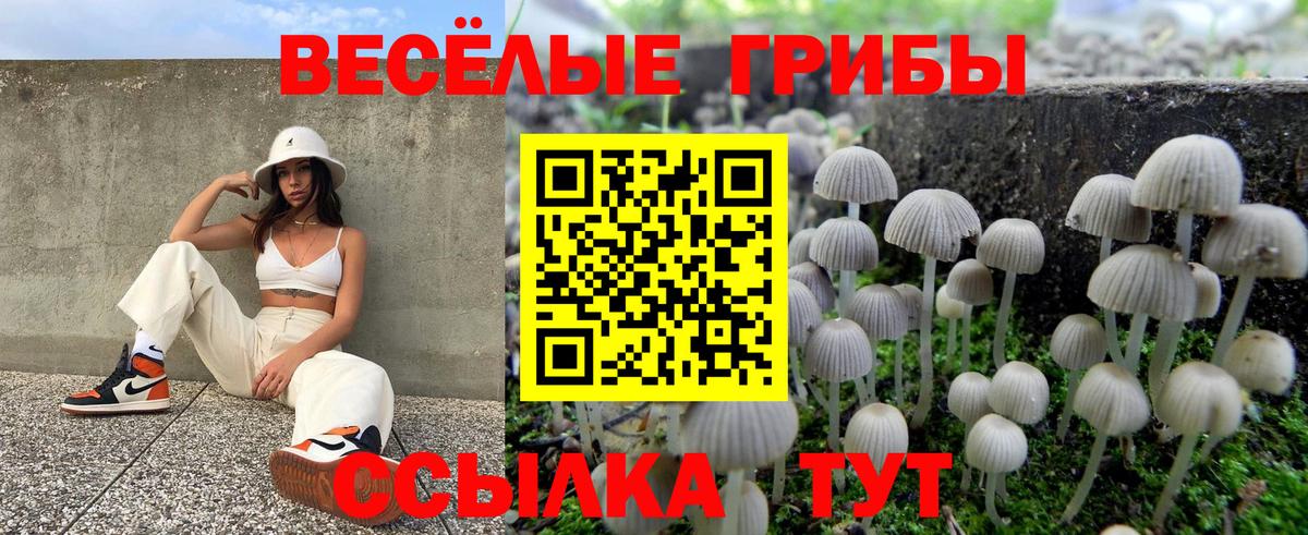 Галлюциногенные грибы мухоморы  Вход с VPN  Новороссийск 