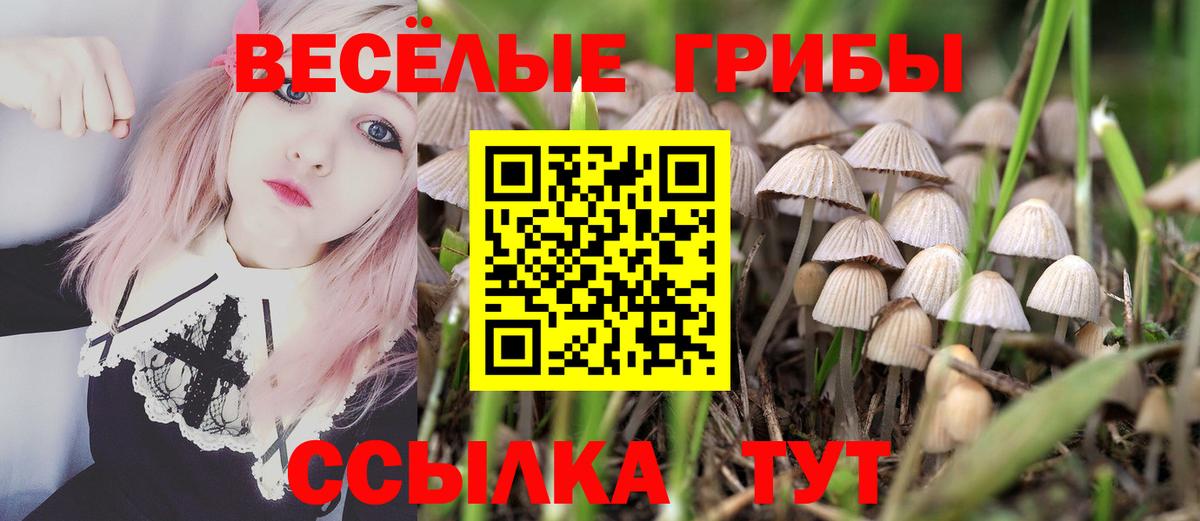 Псилоцибиновые грибы прущие грибы Новороссийск